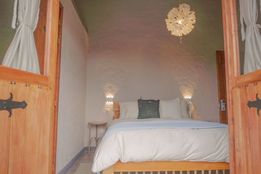 coffee tree boutique hostel