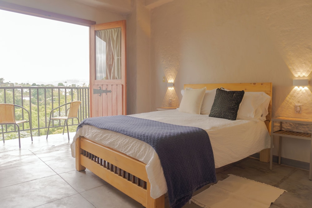 coffee tree boutique hostel