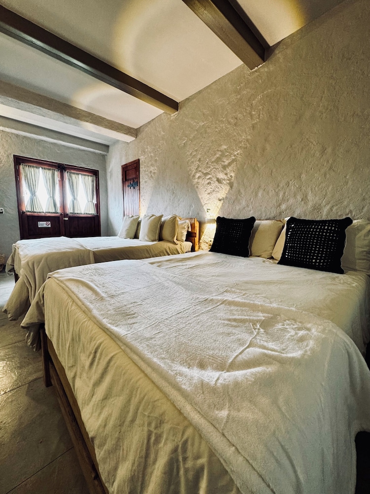 coffee tree boutique hostel