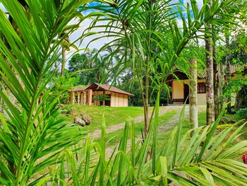 paraty