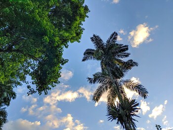paraty