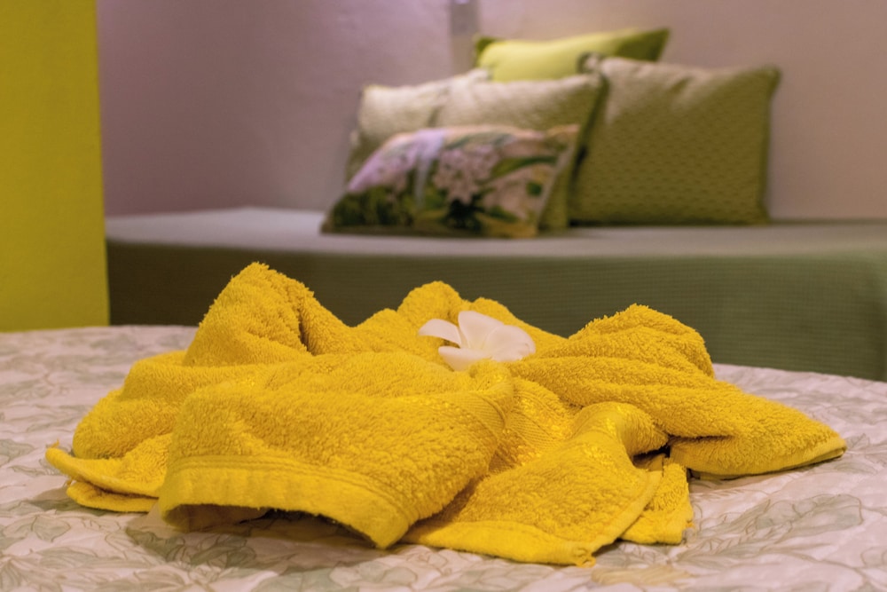 pousada casa do cocotier