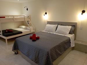 pousada casa do cocotier