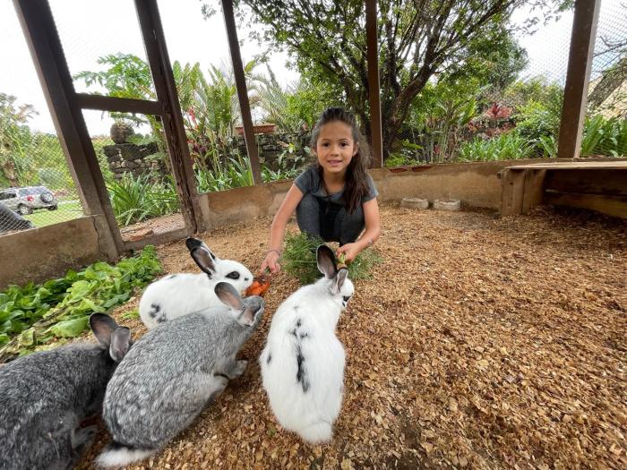 maria barbosa tiradentes pousada e spa