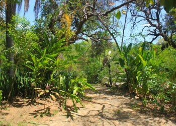 sao goncalo do abaete