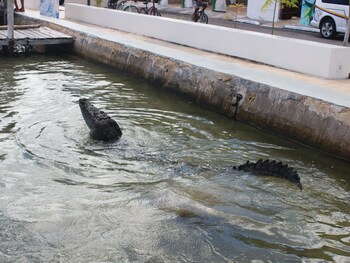 hotel villa de pescadores