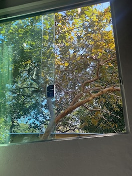 anaconda amazon resort