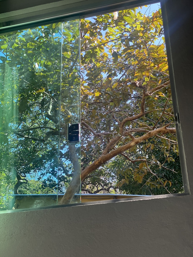 anaconda amazon resort