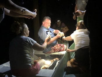 anaconda amazon resort