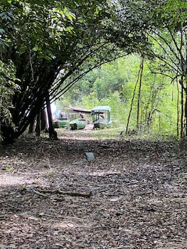 anaconda amazon resort