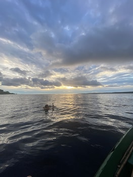 manaus
