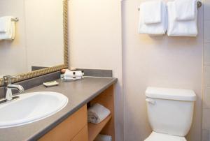 sandman suites vancouver on davie