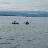 bocas del toro