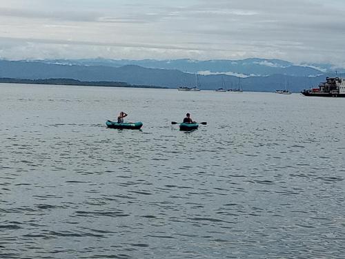 bocas del toro