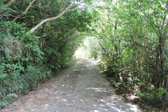 panorama ocean view cottage