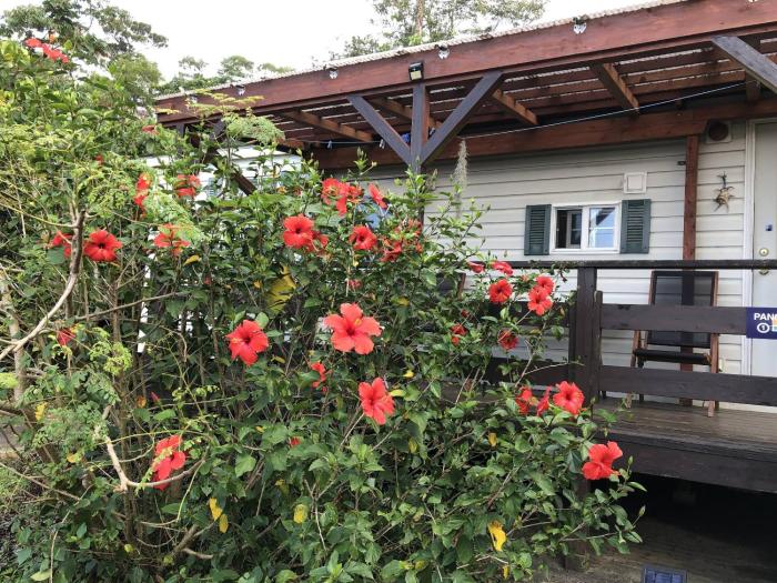 panorama ocean view cottage