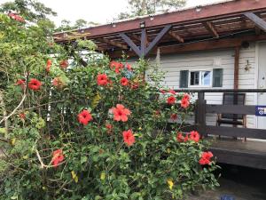 panorama ocean view cottage