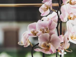 gasthof zum moosmann familie pachernigg