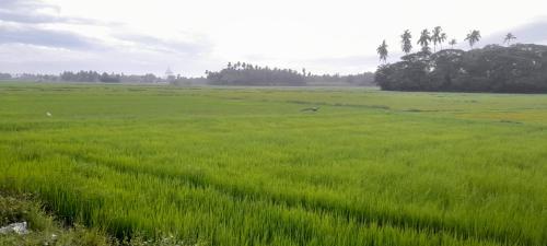 travellers home hotel