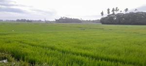 travellers home hotel