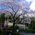 hiraizumi