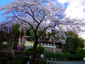 hiraizumi