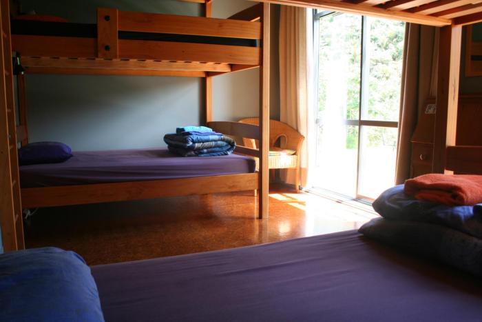 piha beachstay hostel