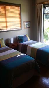 piha beachstay hostel