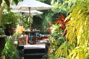 seminyak paradiso hotel
