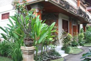 seminyak paradiso hotel