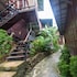 tropical garden bungalow