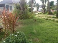 rum bungalow resort phu quoc