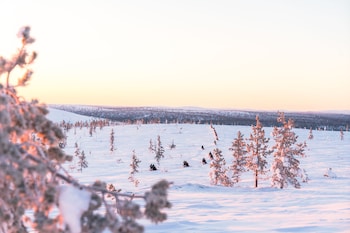 northern lights village
