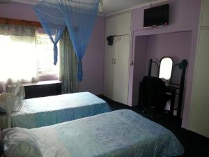 flintstones backpackers