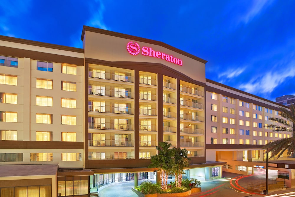 hotel tampa riverwalk