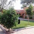 gumare executive lodge