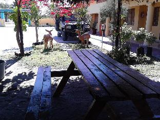 pacific conqueror self catering units