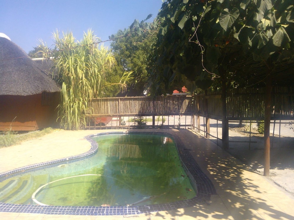 maun