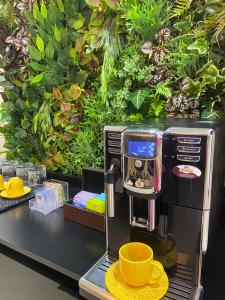 hotel diamante adults only