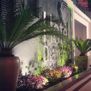 hotel diamante adults only