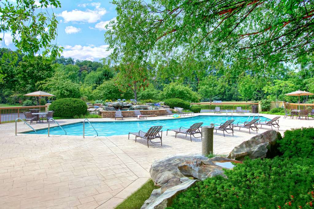 quality inn near the island pigeon forge