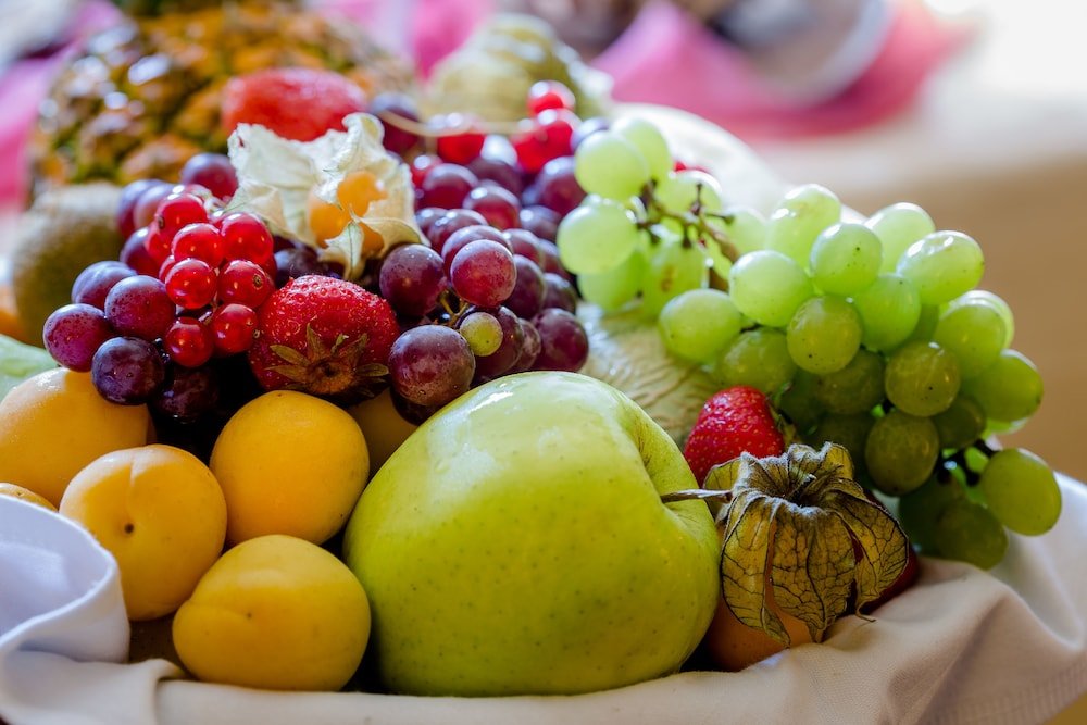 rittergut positz gmbh