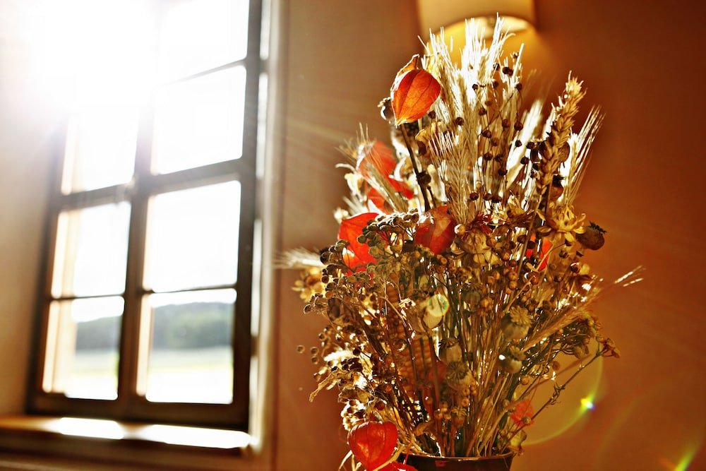 rittergut positz gmbh