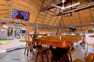 gecko inn guest house