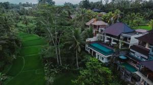 river sakti resort