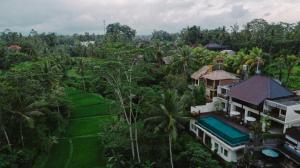 river sakti resort