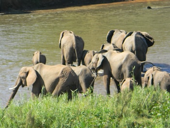 kruger view chalets
