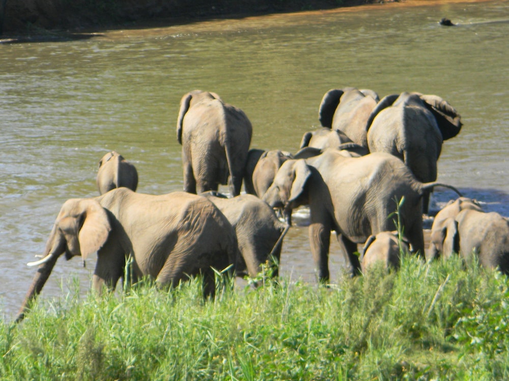 kruger view chalets