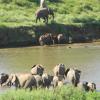 kruger view chalets