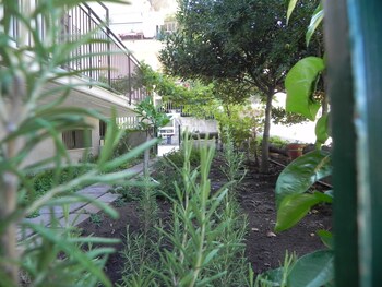 castiglione di sicilia